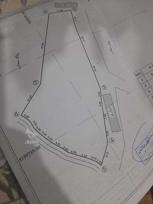 زمین داری 600متر مسکونی در گروه خرید و فروش املاک در گیلان در شیپور-عکس1