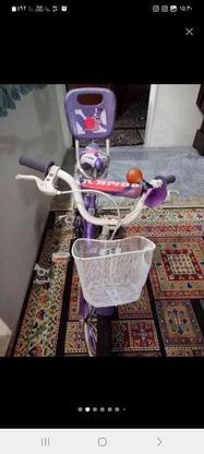 دوچرخه سایز12 در گروه خرید و فروش ورزش فرهنگ فراغت در تهران در شیپور-عکس1