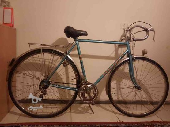 دوچرخه کورسی سایز 28 اصل فرانسه مارک پژو در گروه خرید و فروش ورزش فرهنگ فراغت در البرز در شیپور-عکس1