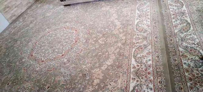 2عدد فرش 12متری گردویی در گروه خرید و فروش لوازم خانگی در زنجان در شیپور-عکس1