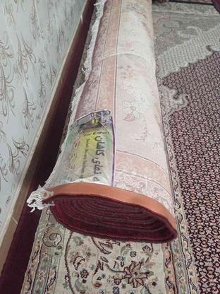 فرش نخ پنبه درحدصفر اصل در گروه خرید و فروش لوازم خانگی در اردبیل در شیپور-عکس1