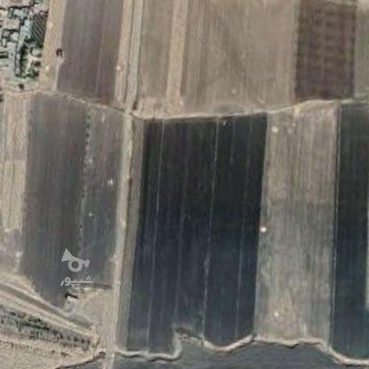 2هکتار زمین کشاورزی آبی در گروه خرید و فروش املاک در کرمانشاه در شیپور-عکس1