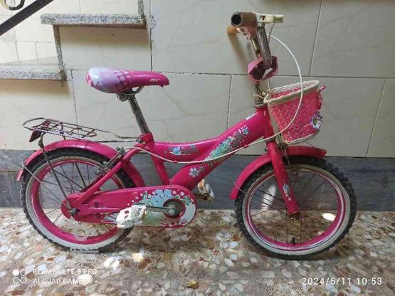 فروش فوری دوچرخه کودک در گروه خرید و فروش ورزش فرهنگ فراغت در مازندران در شیپور-عکس1