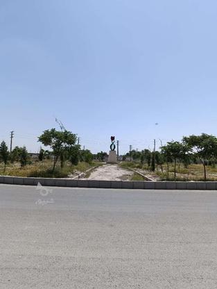 750متر زمین ملارد ویلایی جنوبی در گروه خرید و فروش املاک در تهران در شیپور-عکس1