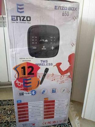 فروش اسپیکر ENZO انزو 650 فول اپشن در گروه خرید و فروش لوازم الکترونیکی در مازندران در شیپور-عکس1