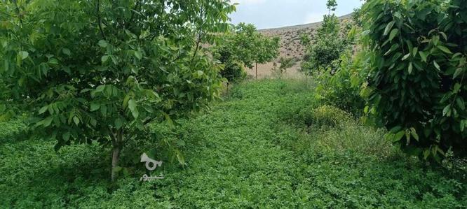 باغ زمین شمال 400متر در گروه خرید و فروش املاک در مازندران در شیپور-عکس1
