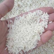 فروش برنج شمال