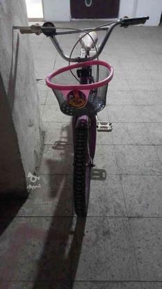 فروش دوچرخه دخترانه 20 رنگ بنفش در گروه خرید و فروش ورزش فرهنگ فراغت در آذربایجان شرقی در شیپور-عکس1