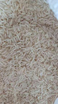 برنج فجر ... در گروه خرید و فروش خدمات و کسب و کار در گلستان در شیپور-عکس1