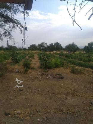 حدود 3 هکتار زمین گلستان گل‌محمدی و باغ بادام وانگور در گروه خرید و فروش املاک در اصفهان در شیپور-عکس1