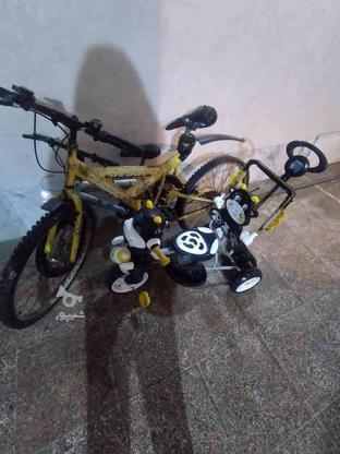 1عدد دوچرخه،و یک سه چرخه در گروه خرید و فروش ورزش فرهنگ فراغت در مازندران در شیپور-عکس1