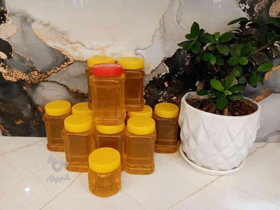 عسل بهاره مرکبات خالص و صد درصد طبیعی در گروه خرید و فروش خدمات و کسب و کار در مازندران در شیپور-عکس1