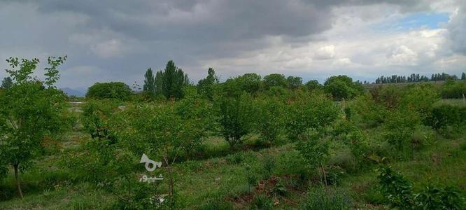 فروش زمین ویلایی در گروه خرید و فروش املاک در آذربایجان شرقی در شیپور-عکس1