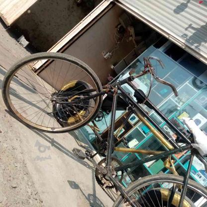 دوچرخ فنیکس در گروه خرید و فروش ورزش فرهنگ فراغت در مازندران در شیپور-عکس1