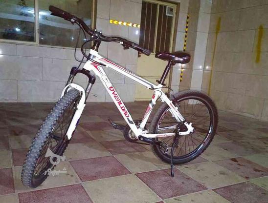 دوچرخه دنده ایی در گروه خرید و فروش ورزش فرهنگ فراغت در آذربایجان غربی در شیپور-عکس1