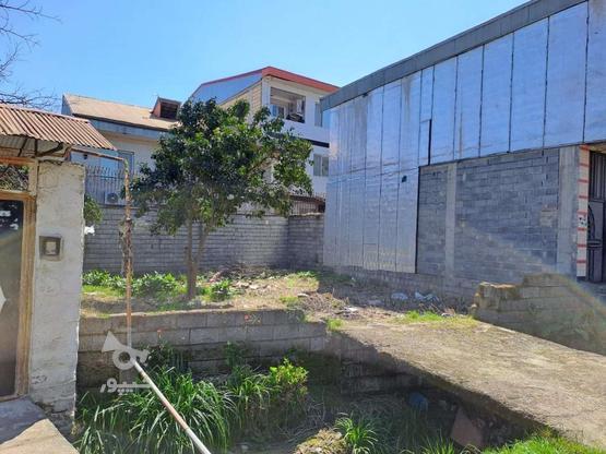 زمین مسکونی در لیلاکوه زیر قیمت در گروه خرید و فروش املاک در گیلان در شیپور-عکس1
