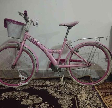 دوچرخه 26. در گروه خرید و فروش ورزش فرهنگ فراغت در همدان در شیپور-عکس1