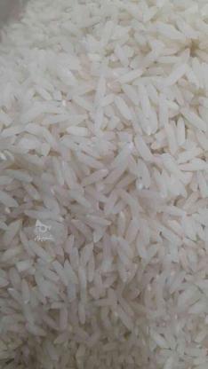 برنج طارم هاشمی شمال در گروه خرید و فروش خدمات و کسب و کار در مازندران در شیپور-عکس1