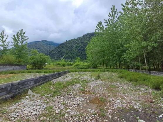 420 متر زمین دامنه جنگل چلک با سند در گروه خرید و فروش املاک در مازندران در شیپور-عکس1