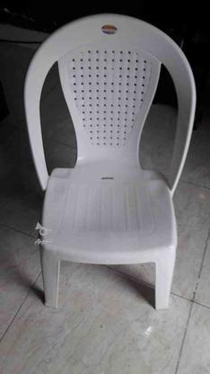 صندلی نو وسفید 30 عدد در گروه خرید و فروش صنعتی، اداری و تجاری در مازندران در شیپور-عکس1