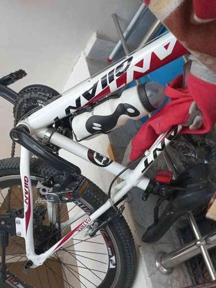 دوچرخه گالانت در گروه خرید و فروش ورزش فرهنگ فراغت در کرمانشاه در شیپور-عکس1