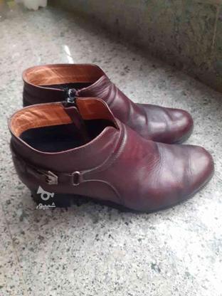 کفش زنانه 37 در گروه خرید و فروش لوازم شخصی در آذربایجان شرقی در شیپور-عکس1