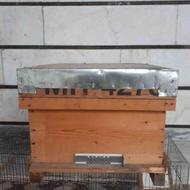 صندوق زنبور عسل(جعبه)