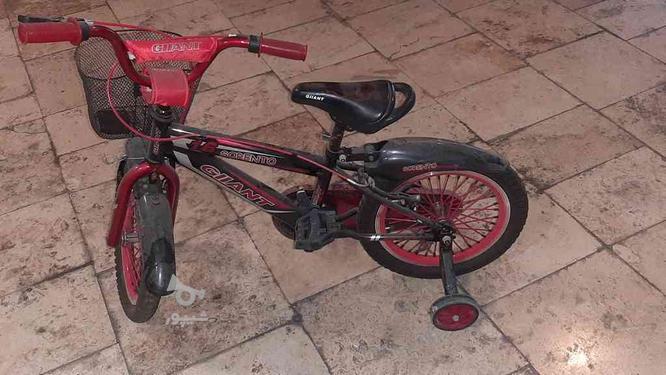 دوچرخه سایزه 16 در گروه خرید و فروش ورزش فرهنگ فراغت در البرز در شیپور-عکس1