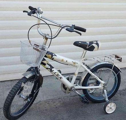 دوچرخه آلکس 16 و وینر 20 سالم ، تمییز و تازه سرویس در گروه خرید و فروش ورزش فرهنگ فراغت در اصفهان در شیپور-عکس1
