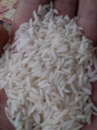 فروش برنج هاشمی در گروه خرید و فروش خدمات و کسب و کار در گیلان در شیپور-عکس1