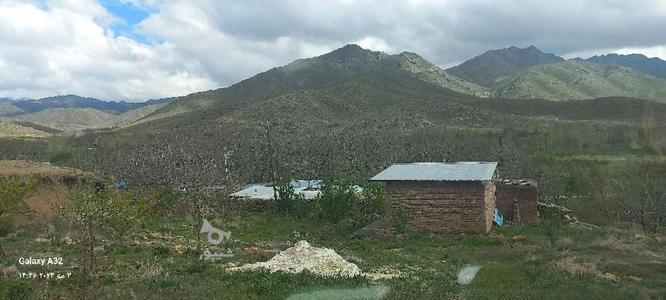 خونه باغ ویلایی در گروه خرید و فروش املاک در کرمان در شیپور-عکس1