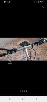 دوچرخه کراس26 طرح کبرا در گروه خرید و فروش ورزش فرهنگ فراغت در خراسان رضوی در شیپور-عکس1