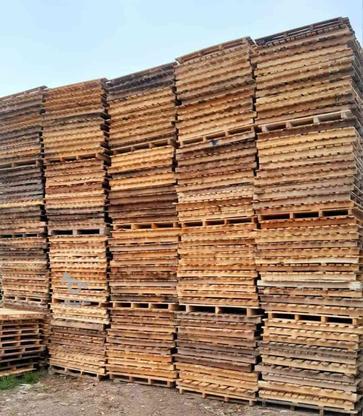 خرید پالت چوبی و... در گروه خرید و فروش خدمات و کسب و کار در مازندران در شیپور-عکس1