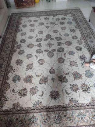 فرش 9 متری 700 شانه در گروه خرید و فروش لوازم خانگی در مازندران در شیپور-عکس1