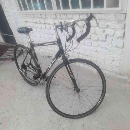 دوچرخه کورسی عطیقه در گروه خرید و فروش ورزش فرهنگ فراغت در خراسان رضوی در شیپور-عکس1