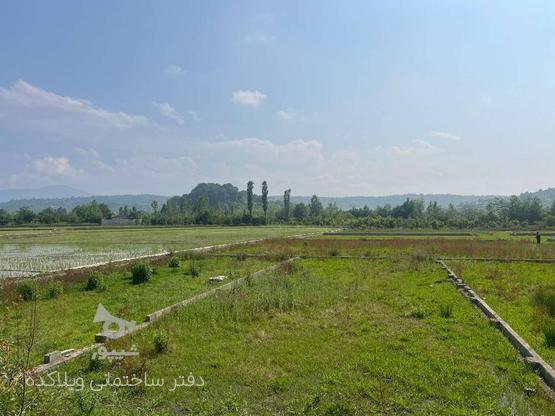فروش زمین مسکونی 270 متر شیرگاه در گروه خرید و فروش املاک در مازندران در شیپور-عکس1