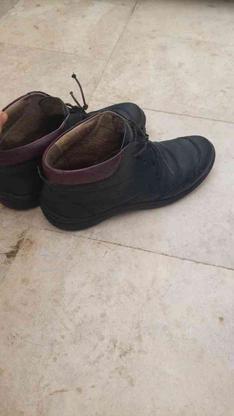 کفش چرم طبیعی سایز40 در گروه خرید و فروش لوازم شخصی در کرمانشاه در شیپور-عکس1