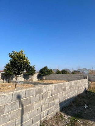 فروش زمین مسکونی 320 متر در بلیران در گروه خرید و فروش املاک در مازندران در شیپور-عکس1