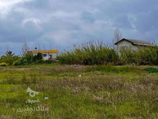 فروش زمین مسکونی 118 متر در کلوسا در گروه خرید و فروش املاک در مازندران در شیپور-عکس1