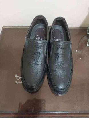 کفش چرمی مردانه مشکی سایز 43و42 در گروه خرید و فروش لوازم شخصی در تهران در شیپور-عکس1