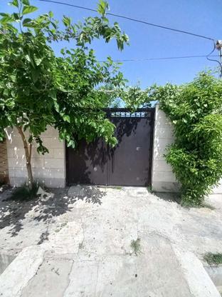 فروش زمین مسکونی آزادشهر در گروه خرید و فروش املاک در گلستان در شیپور-عکس1