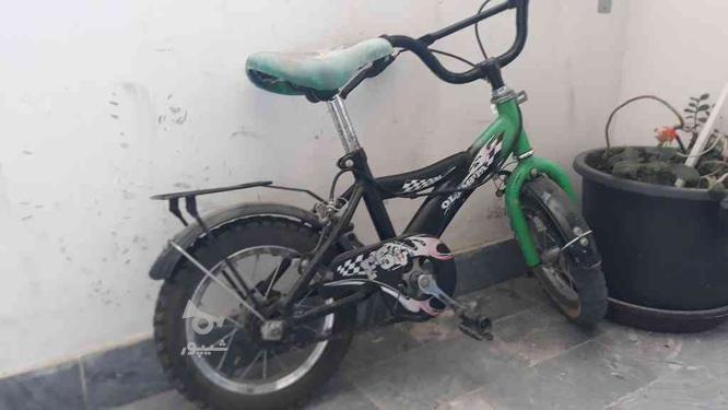 دوچرخه 12 بچگانه در گروه خرید و فروش ورزش فرهنگ فراغت در آذربایجان شرقی در شیپور-عکس1