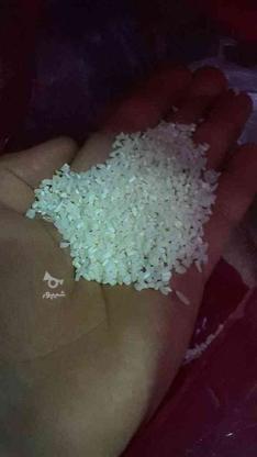 برنج نیمدانه ودرشت دانه هاشمی در گروه خرید و فروش خدمات و کسب و کار در گیلان در شیپور-عکس1