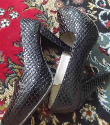 کفش طرح پوست مار سایز39پاخور40میشه در گروه خرید و فروش لوازم شخصی در آذربایجان غربی در شیپور-عکس1