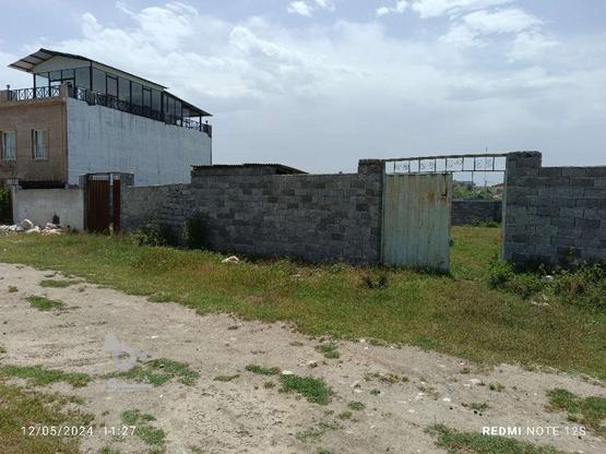 زمین مسکونی پشت شهرداری دابودشت در گروه خرید و فروش املاک در مازندران در شیپور-عکس1