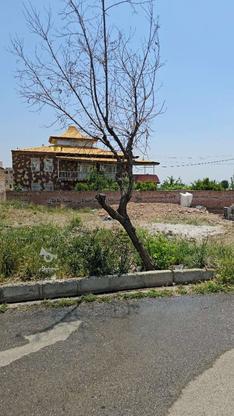 فروش زمین مسکونی 250 متر در شهر جدید هشتگرد در گروه خرید و فروش املاک در البرز در شیپور-عکس1