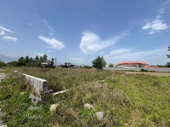 فروش زمین مسکونی 281 متر در آبکله سر بزرگ در گروه خرید و فروش املاک در مازندران در شیپور-عکس1