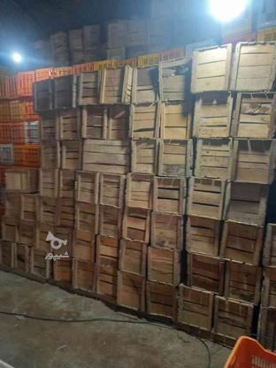 جعبه چوبی فروشی تعداد زیاد سالم در گروه خرید و فروش صنعتی، اداری و تجاری در مازندران در شیپور-عکس1