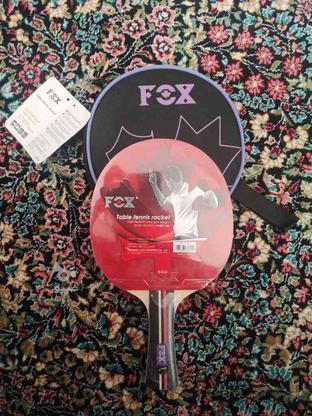 دسته تنیس FOX در گروه خرید و فروش ورزش فرهنگ فراغت در کرمان در شیپور-عکس1