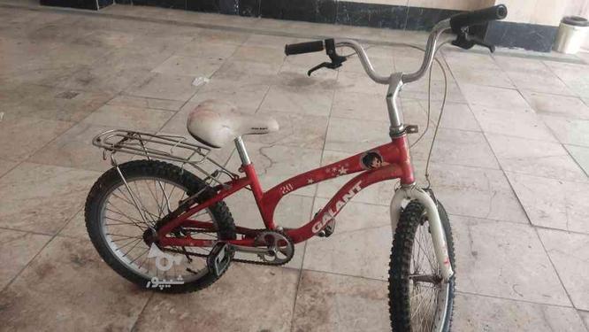 دوچرخه ها سالم هستند در گروه خرید و فروش ورزش فرهنگ فراغت در البرز در شیپور-عکس1